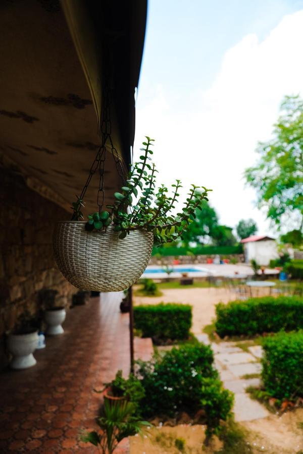 The Rustic Villa, A Stay With Luxuries Amenities And Exotic Nature Jaipur Dış mekan fotoğraf